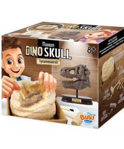 Tyrannosaurus koponya felfedező készlet BUKI