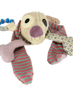 Felfedező - Láb-fej NONOS, a kutya