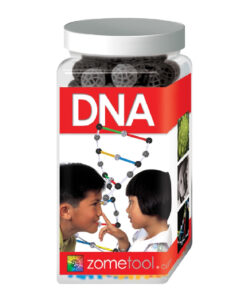 Tudományos modellező készlet - DNS molekula - DNA